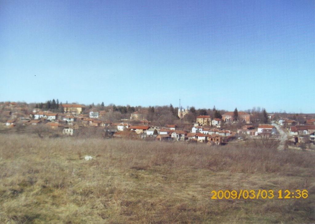 с. Пелишат, общ изглед